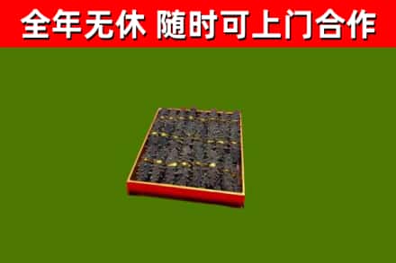 灵丘回收海参